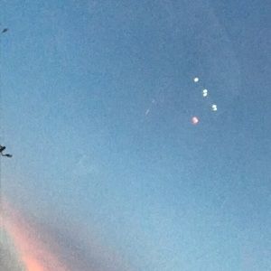 Meet your Posher, Georgina